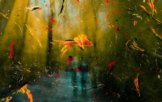 همه چیز در مورد بزرگ شدن رحم