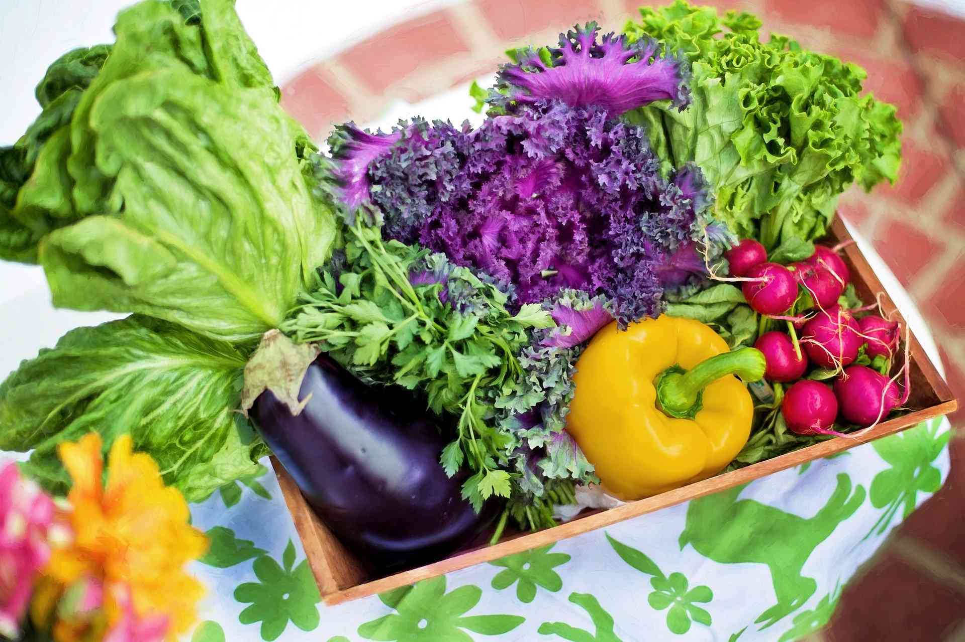  سبزیجات جوان کننده و ضد پیری